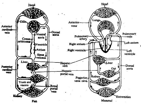 1674_Circulation Patterns.png